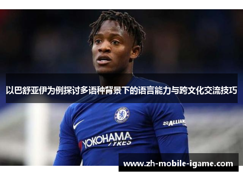 以巴舒亚伊为例探讨多语种背景下的语言能力与跨文化交流技巧