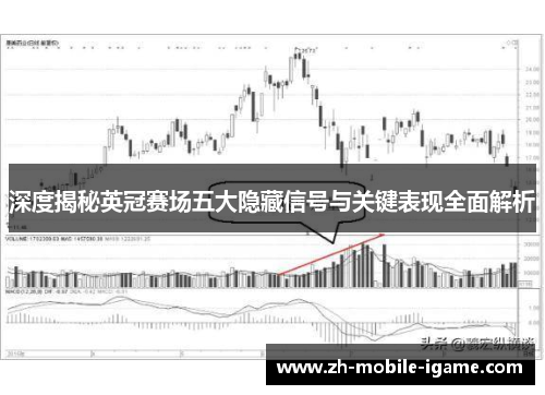 深度揭秘英冠赛场五大隐藏信号与关键表现全面解析