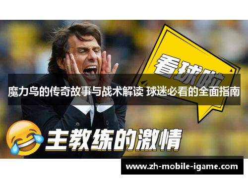 魔力鸟的传奇故事与战术解读 球迷必看的全面指南