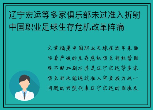 辽宁宏运等多家俱乐部未过准入折射中国职业足球生存危机改革阵痛