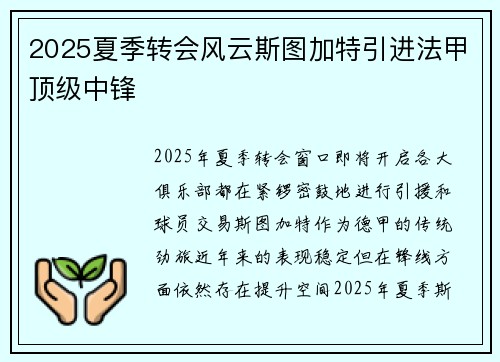 2025夏季转会风云斯图加特引进法甲顶级中锋
